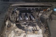 Lexus-ES-350-1 Lexus-ES-350-1